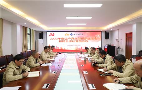 廖立波、唐峰、何勇以普通黨員身份參加所在黨支部2022年度組織生活會(huì)