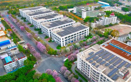 【實(shí)干筑夢(mèng)·競(jìng)賽爭(zhēng)鋒】冶建基礎(chǔ)分公司一光伏發(fā)電項(xiàng)目順利通過(guò)竣工驗(yàn)收